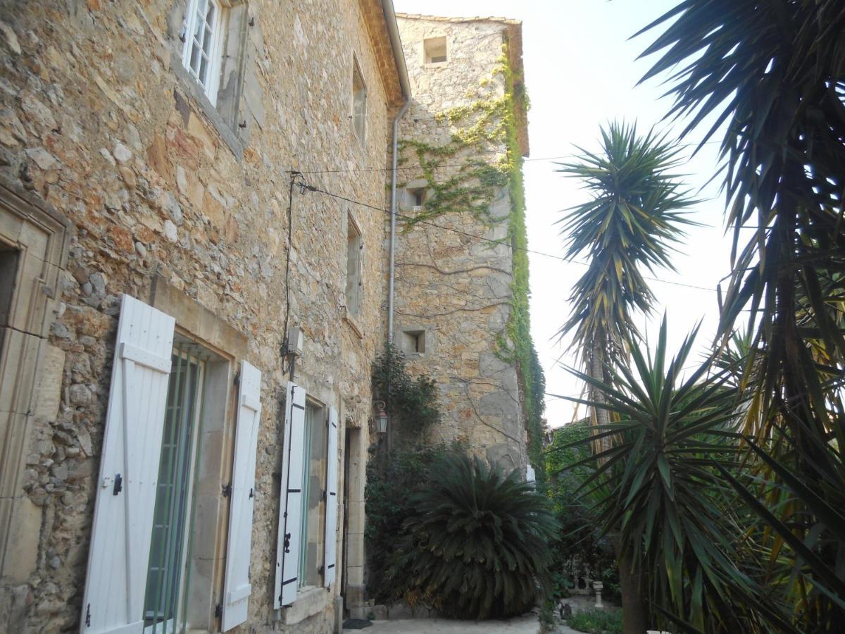 Logis De La Meschaussee, Dans Donjon Du Xie Siecle Canet  Екстер'єр фото